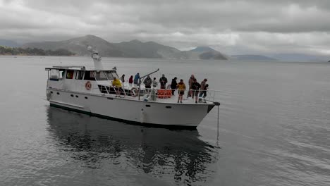 Grupo-De-Personas-En-Un-Crucero-Anclado-En-La-Bahía-En-Los-Sonidos-De-Marlborough,-Nueva-Zelanda