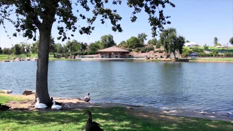 Bakersfield-River-Walk-Park-An-Einem-Sonnigen-Sommertag