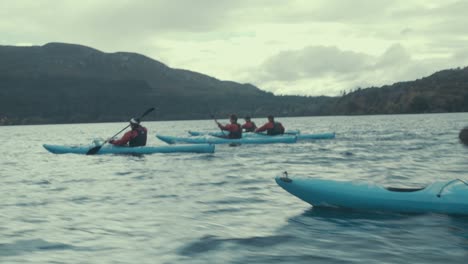 Grupo-De-Kayakistas-En-Lago-Abierto-Remando