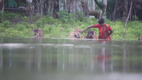 Im-Von-Überschwemmungen-Betroffenen-Gebiet-Im-Norden-Bangladeschs-Sind-Im-Jahr-2020-über-Eine-Million-Menschen-Zu-Klimaflüchtlingen-Geworden