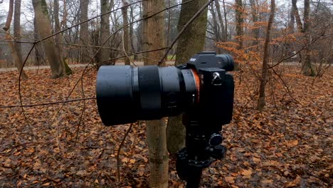 Sony-A7III-is-mounted-on-a-tripod