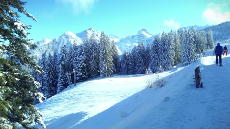 Un-Hombre-Caminando-En-El-Campo-De-Nieve-Con-Pinos-Y-Cielo-Azul