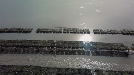 Oyster-beds-in-the-camel-estuary-at-low-tide