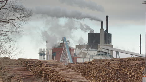 Zoom-In---Una-Fábrica-De-Pulpa-De-Madera-Y-Enormes-Pilas-De-Troncos-De-árboles