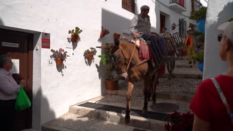 Típico-Callejón-Mediterráneo-Con-Un-Hombre-Montado-En-Burro-Y-Casas-Blancas