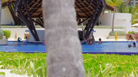 Green-plants-growing-in-sand-in-front-of-infinity-pool-at-all-inclusive-resort