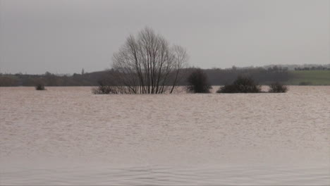 UK-February-2014---A-bird-flies-from-the-swaying-branches-of-submerged-trees-in-brown-floodwater-during-the-Somerset-Levels-floods