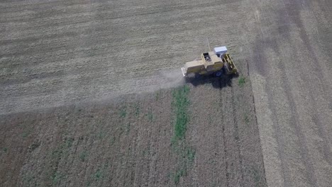 Vista-Aérea-De-Arriba-Hacia-Abajo,-Mirando-Hacia-Abajo-A-Una-Cosechadora-Trabajando-En-El-Campo-De-Trigo