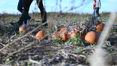 Families-walk-towards-pumpkin-picking-area-at-a-farm-in-England,-United-Kingdom