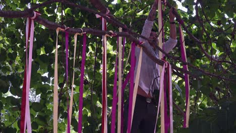 Mann-Hängt-Zur-Festivalzeit-Dekorationen-In-Den-Baum