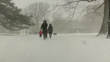 Brooklyn,-Ny--Alrededor-De-Febrero-De-2016---Una-Familia-Da-Un-Paseo-Durante-Una-Tormenta-De-Nieve-En-Brooklyn,-Ny