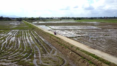 Turista-Rubia-Y-Hombre-Montando-Un-Ciclomotor-A-Lo-Largo-De-Los-Arrozales-En-El-Pueblo-Pesquero-Rural,-Toma-Aérea-De-Seguimiento