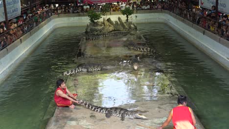 Cuidador-Del-Zoológico-Poniendo-Su-Mano-En-La-Boca-De-Un-Cocodrilo-Peligroso-Durante-El-Espectáculo-De-Cocodrilos-En-La-Granja-Y-Zoológico-De-Cocodrilos-De-Samut-Prakan-En-Samut-Prakan,-Tailandia