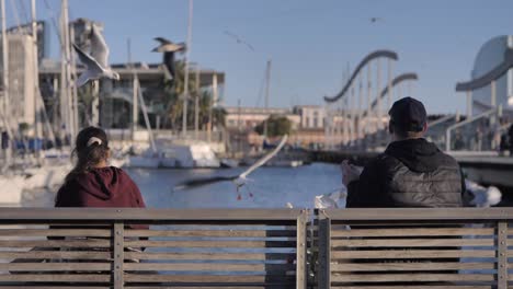 Seagulls-Fed-By-Guy-and-Girl-on-Park-Bench-at-Marina,-Slow-Motion