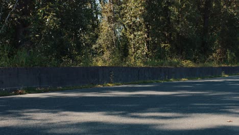 Camera-Moving-Toward-a-Speeding-Red-Ford-Mustang-GT3-Driving-Fast