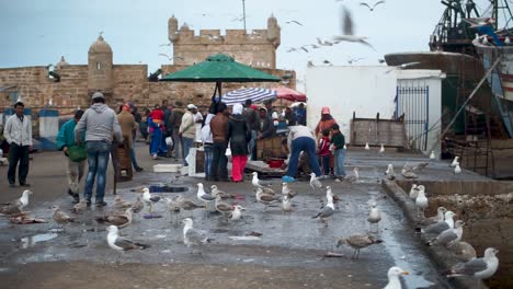 Los-Vendedores-De-Pescado-En-La-Zona-Portuaria-De-Essaouira,-Marruecos,-Están-Inundados-De-Gaviotas-Que-Quieren-Delicias