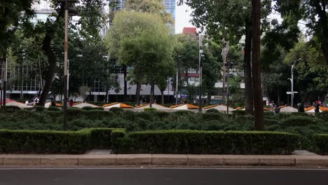 Avenida-Paseo-De-La-Reforma-Con-Mediana-Central-Decorada-Con-Hermosas-Flores-De-Caléndula-Naranja-En-El-Centro-De-La-Ciudad-De-México