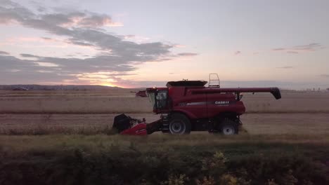 Farmer-uses-combine-to-harvest-wheat-barley-grain-soy-or-oat-field-in-fall-autumn-season-shot-with-aerial-drone-video-stock-4