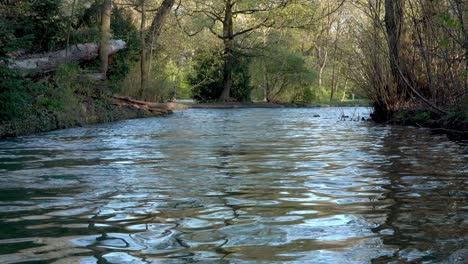 Un-Arroyo-En-El-Jardín-Inglés-En-Munich,-Baviera,-Alemania