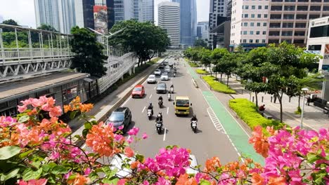 Tráfico-De-Hora-Punta-En-El-Centro-De-Yakarta,-Indonesia-Desde-Un-Puente-Peatonal-Con-Flores