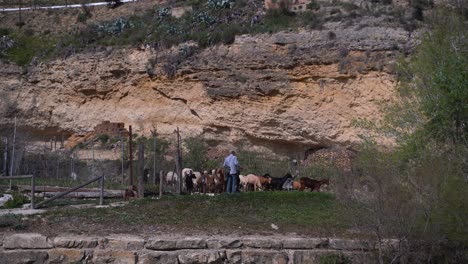 Posibilidad-Remota-De-Un-Agricultor-Que-Atiende-A-Un-Rebaño-De-Ovejas-Y-Cabras