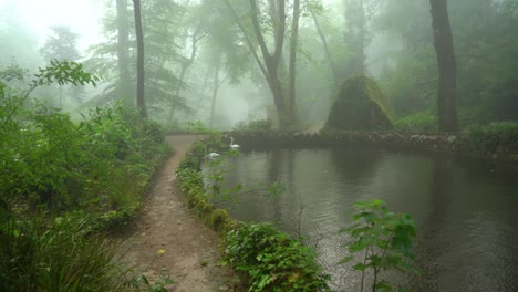 Cisnes-Nadando-En-El-Parque-Pena-En-Un-Día-Lluvioso-Cubierto-De-Niebla