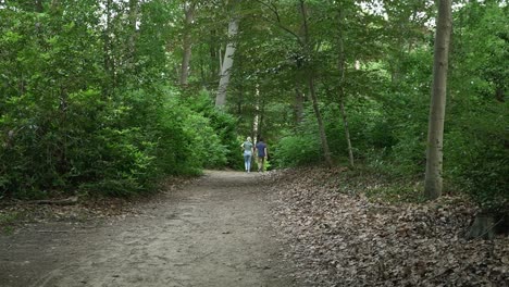 2-Personas-Caminando-De-La-Mano-Románticamente-En-El-Bosque