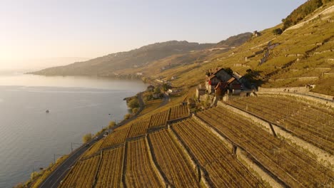 Fliegen-Vor-Einem-Typischen-Haus-Im-Lavaux-Weinberg