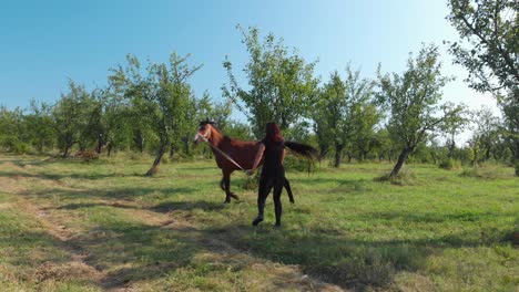 La-Chica-Le-Está-Enseñando-A-Un-Caballo-Joven-A-Caminar-En-Círculo,-Tiro-Largo---Bulgaria