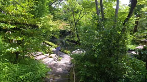 Pov,-Spazieren-Durch-Den-Garten-Des-Nezu-museums