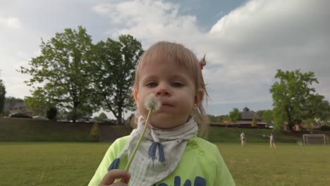 Little-toddler-girl-blow-a-flower-fluff-surrounded-by-green-grass