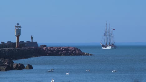 Sailing-vessel-Zawisza-Czarny-leaves-Port-Of-Liepaja-in-hot-sunny-summer-day,-group-of-mute-swans-in-foreground,-port-pier-in-the-frame,-medium-shot-from-a-distance