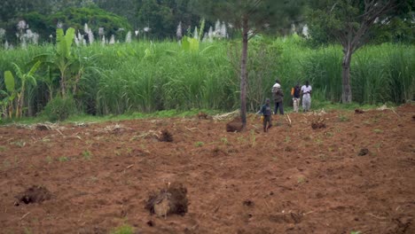 Un-Grupo-De-Africanos-Parados-Alrededor-De-Tierras-Cultivadas-Y-Una-Plantación-De-Caña-De-Azúcar-Mientras-Un-Niño-Corre-Hacia-La-Cámara