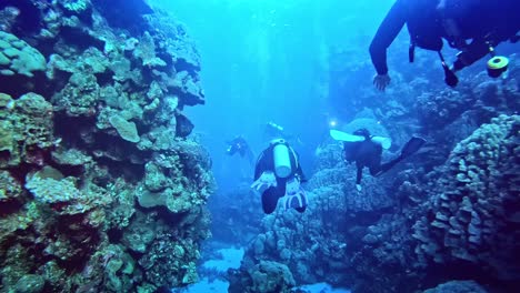 Camera-following-the-divers-swimming-at-the-bottom-of-the-sea