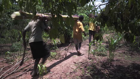 Kids-carrying-banana-trunks-from-local-garden-used-to-build-traditional-kayak-at-source-of-the-river-Nile,-Uganda