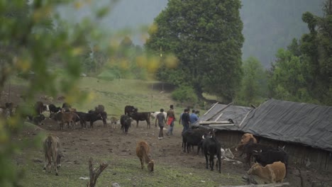 Himalayan-Village