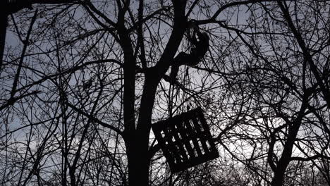 Una-Silueta-De-Un-Manifestante-Ambiental-Que-Usa-Cuerdas-Para-Asegurarse-A-Sí-Mismo-Y-A-Un-Palet-De-Madera-En-Un-árbol-Durante-Una-Acción-Directa-Diseñada-Para-Interrumpir-La-Construcción-De-La-Línea-De-Tren-Hs2