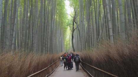 Multitud-De-Turistas-Visitando-El-Bosque-De-Bambú-Arashiyama-En-Kyoto,-Japón