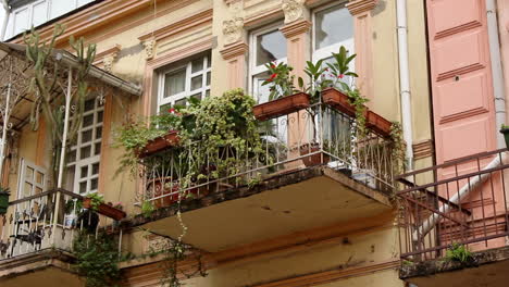 Low-angle-view-of-apartment-balcony-with-flower-pots-in-Batumi,-Georgia