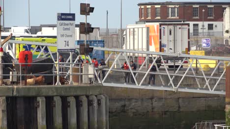 Border-force-officers-inspect-new-migrant-arrivals-in-the-Dover-port,-UK