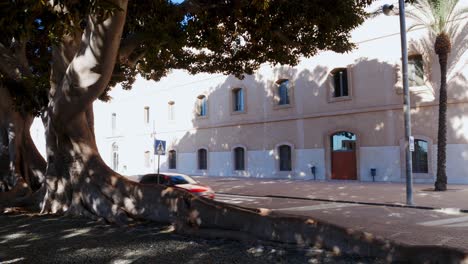 Pan-left-shot-of-the-Engineering-university-of-Cartagena,-Spain,-with-a-giant-Ficus-tree-in-the-foreground