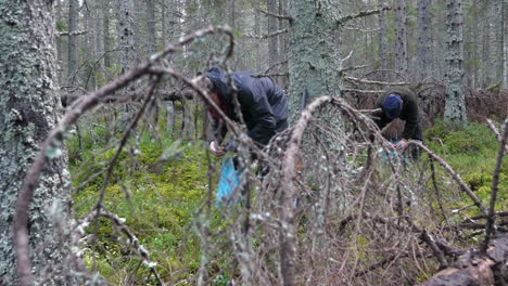 Men-picking-berries-and-mushroom-in-Russian-forest