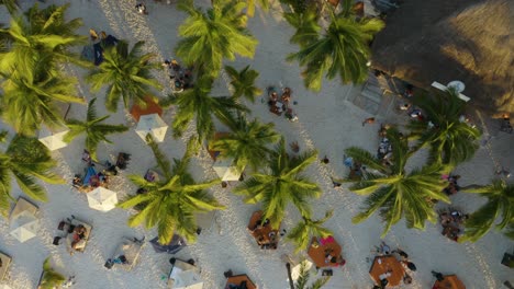 Vista-Aérea-De-Arriba-Hacia-Abajo-De-Personas-Bronceándose-En-Una-Playa-Tropical-De-Arena-Blanca