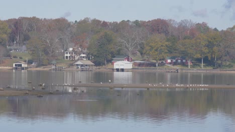 Barra-De-Arena-En-El-Lago-Con-Pájaros-Casas-Junto-Al-Lago-Cámara-Lenta