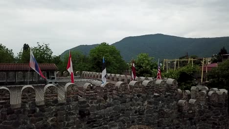 usa-,-estonia,-canada,-russia-flags-in-winery-in-georgia-drone-shot