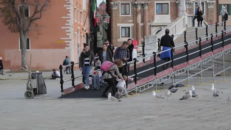 a-small-tourist-Kid-afraid-of-seagulls-birds-and-encourage-by-his-mother-while-people-walking-behind-crossing-a-bridge