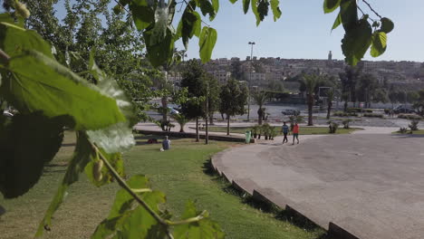 Medina-of-Meknes-from-a-square-facing-it-with-tree-leaves-in-the-foreground,-roundabout-with-heavy-traffic