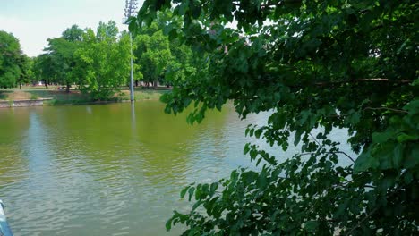 Városligeti-Lake-City-park,-paddling-boats-from-the-other-side-of-the-bridge,-continue-shot