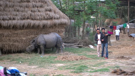 Tourists-taking-selfies-with-a-rhino-in-Chitwan-National-Park-in-Nepal