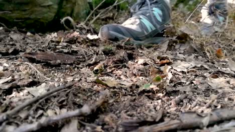 Nahaufnahme-Weiblicher-Füße,-Die-Tracker-Schuhe-Tragen-Und-Auf-Getrocknete-Blätter-Im-Tiefen-Wald-Treten,-Slomo,-Still